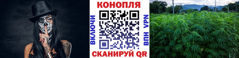 Бошки марихуана SATIVA & INDICA  Купить где  Называевск 